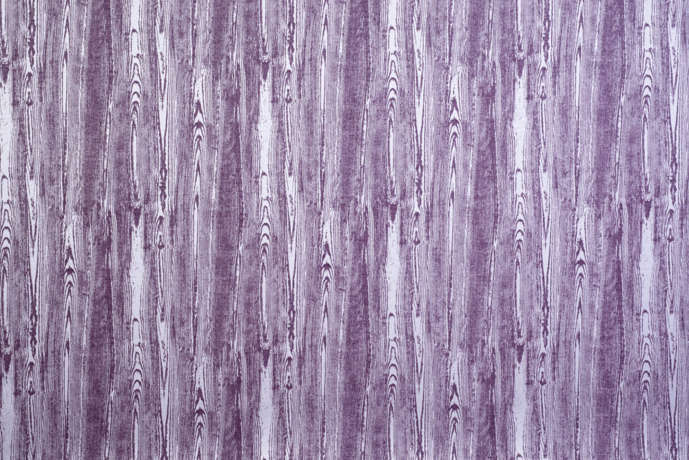 Betula Plum