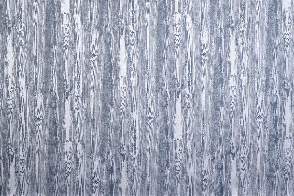 Betula Sky