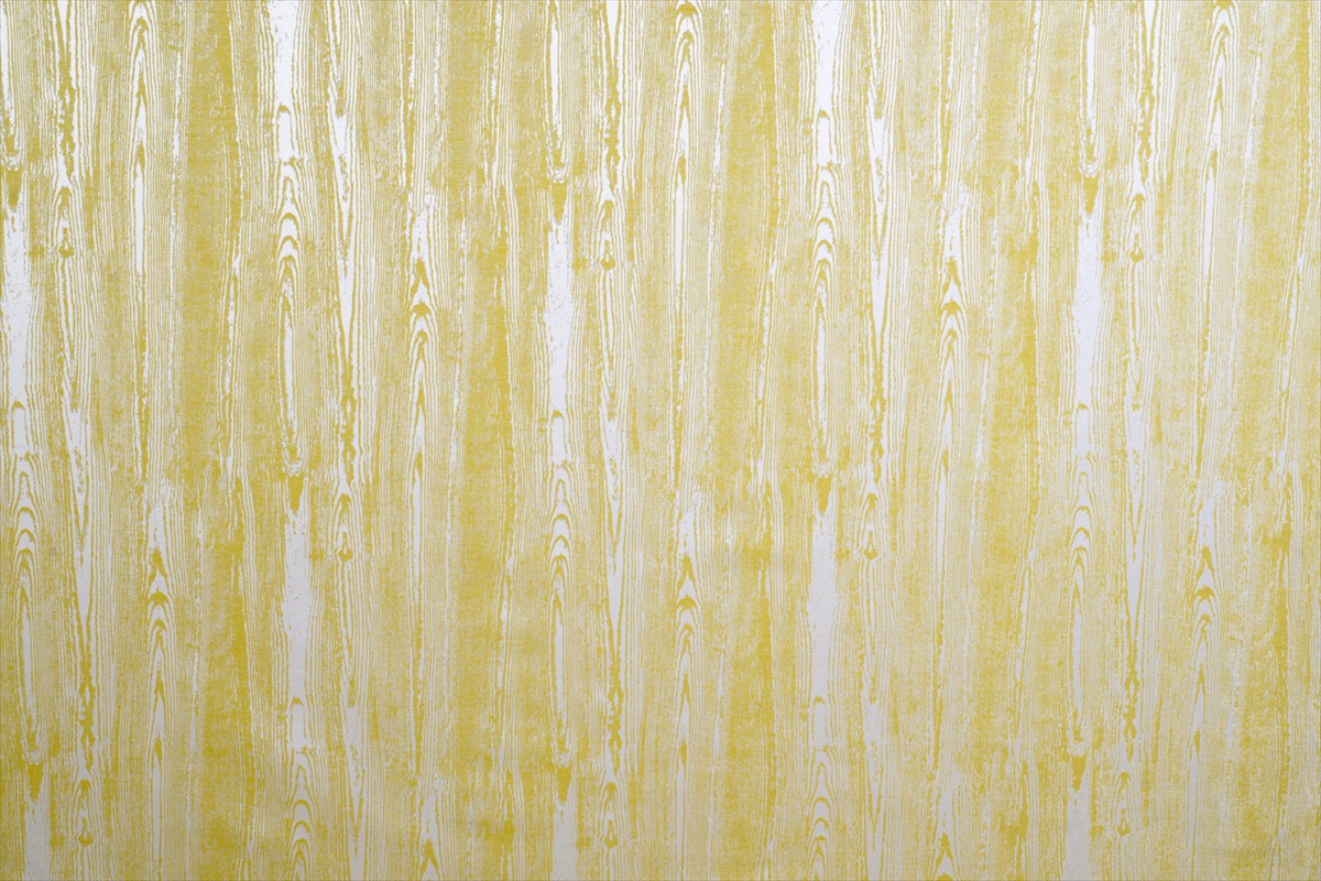 Betula Sunflower