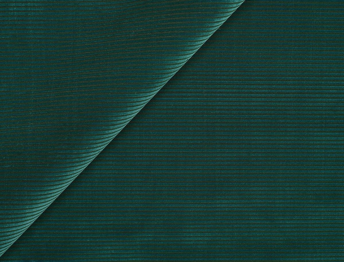 Betwixt JT01 3727 005