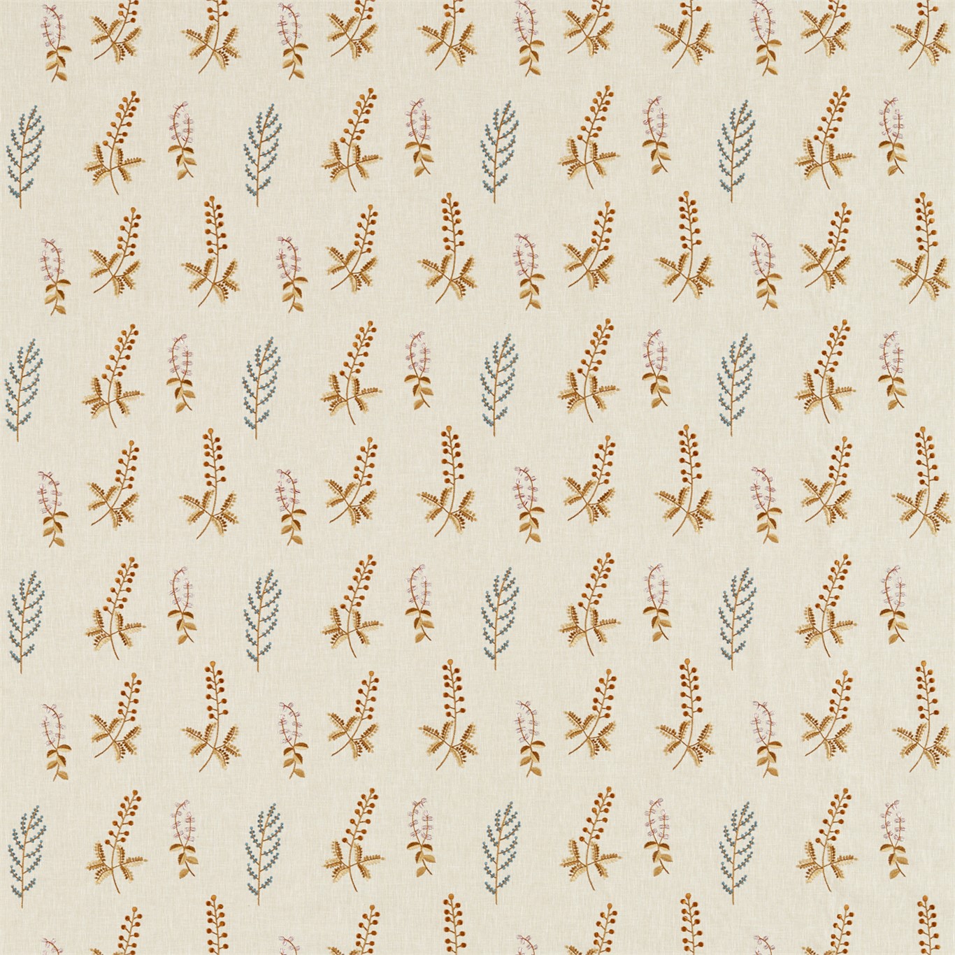 Bilberry 236423
