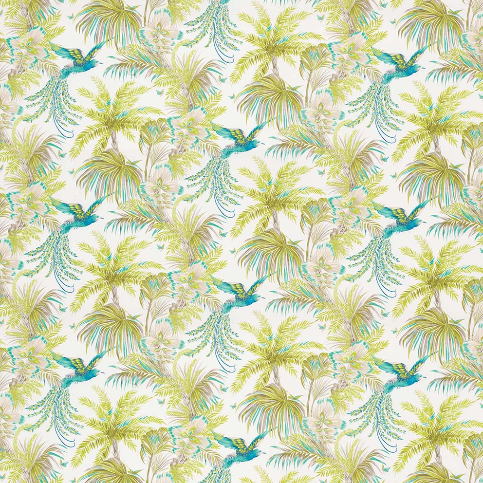 Bird Of Paradise F6631-01