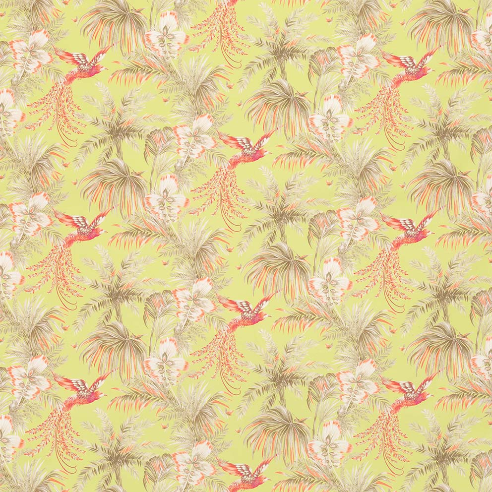 Bird Of Paradise F6631-02