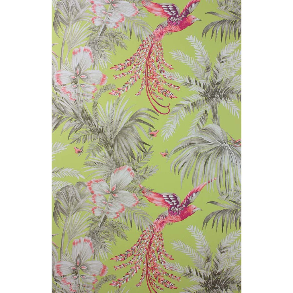 Bird of Paradise W6655-01