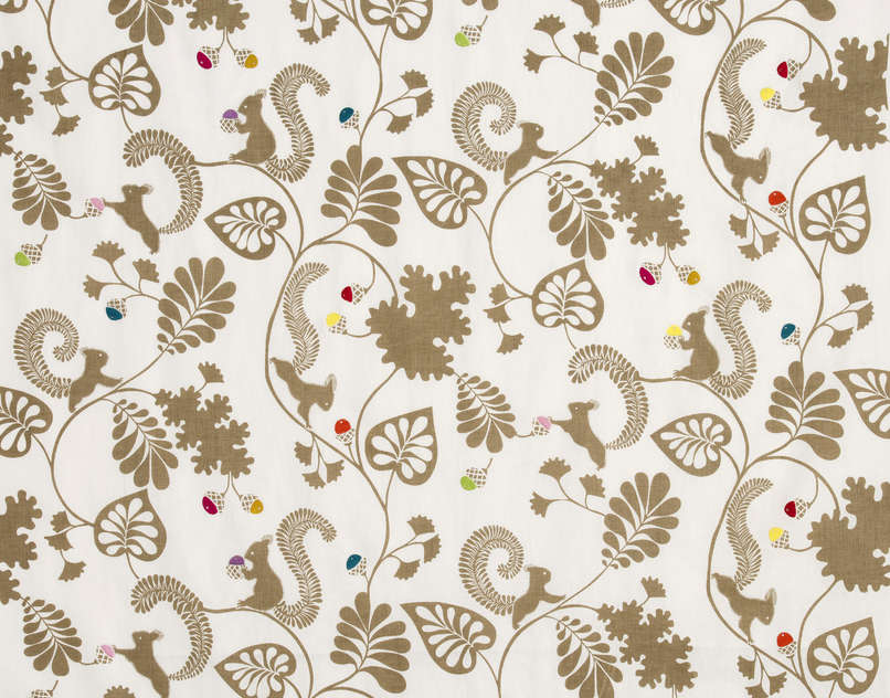 Biscotte F2975001