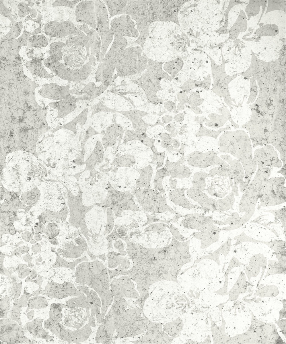 Black & Light 356220