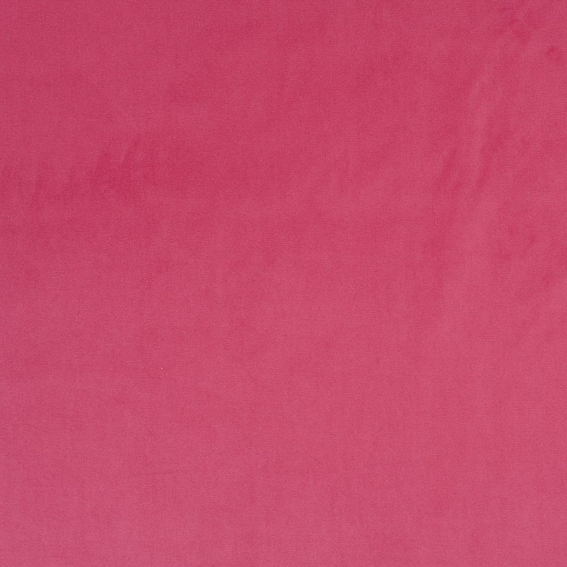Breamore Fuchsia