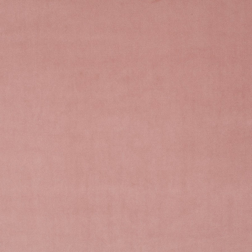 Breamore Rose