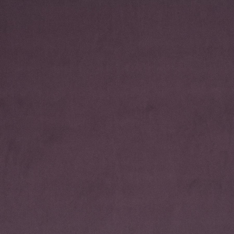 Breamore Violet