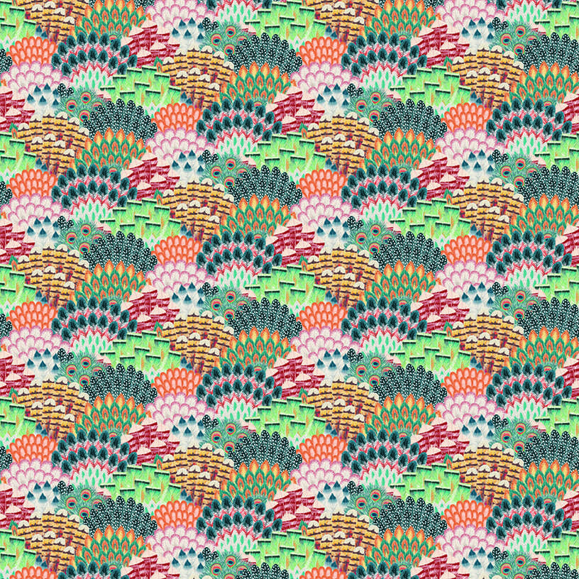 Plume Peacock