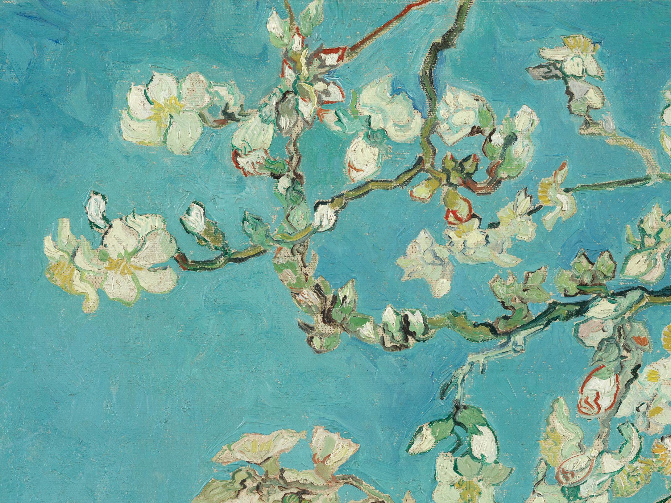 Almond Blossom 200331