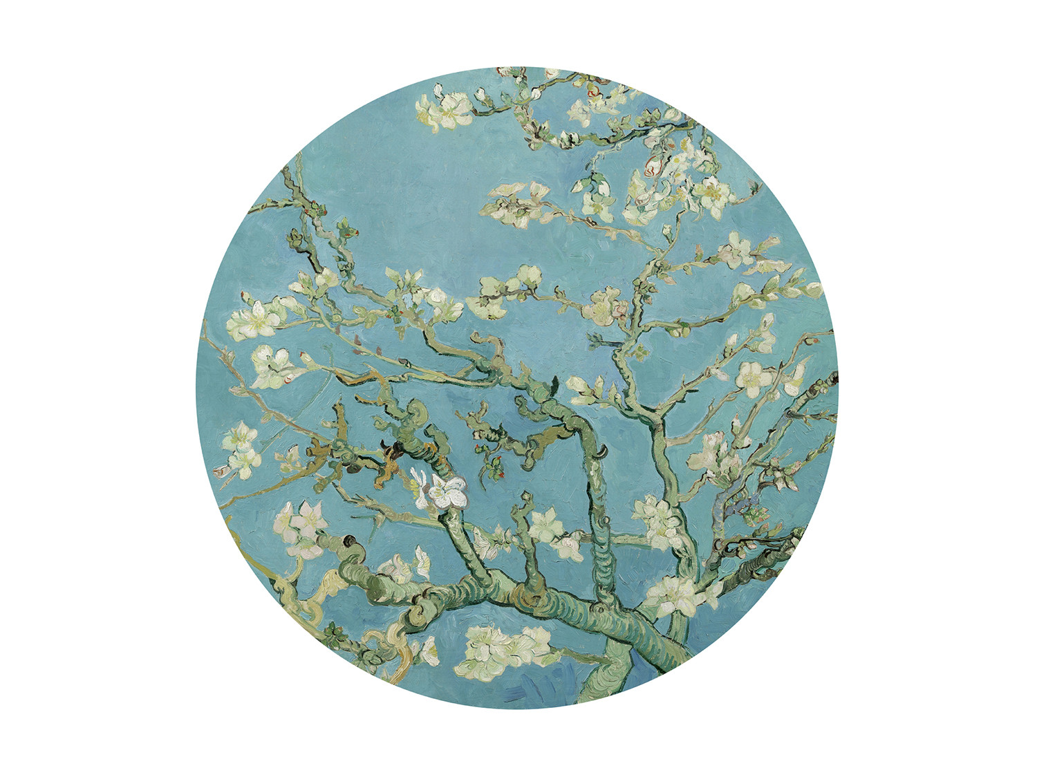 Almond Blossom 300331