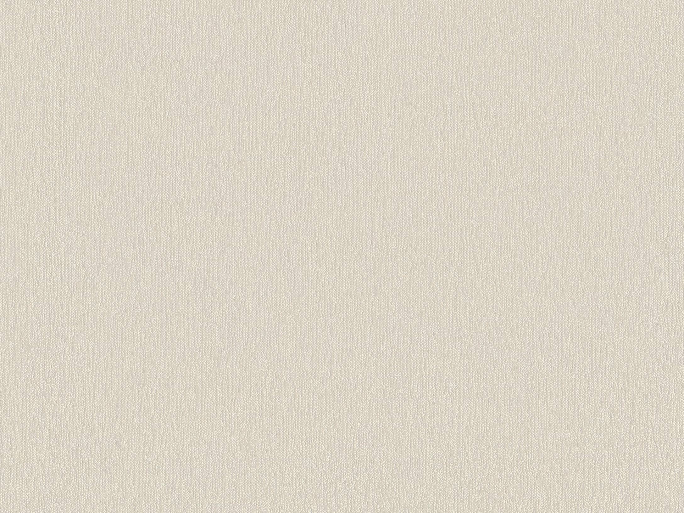 Canvas 220260