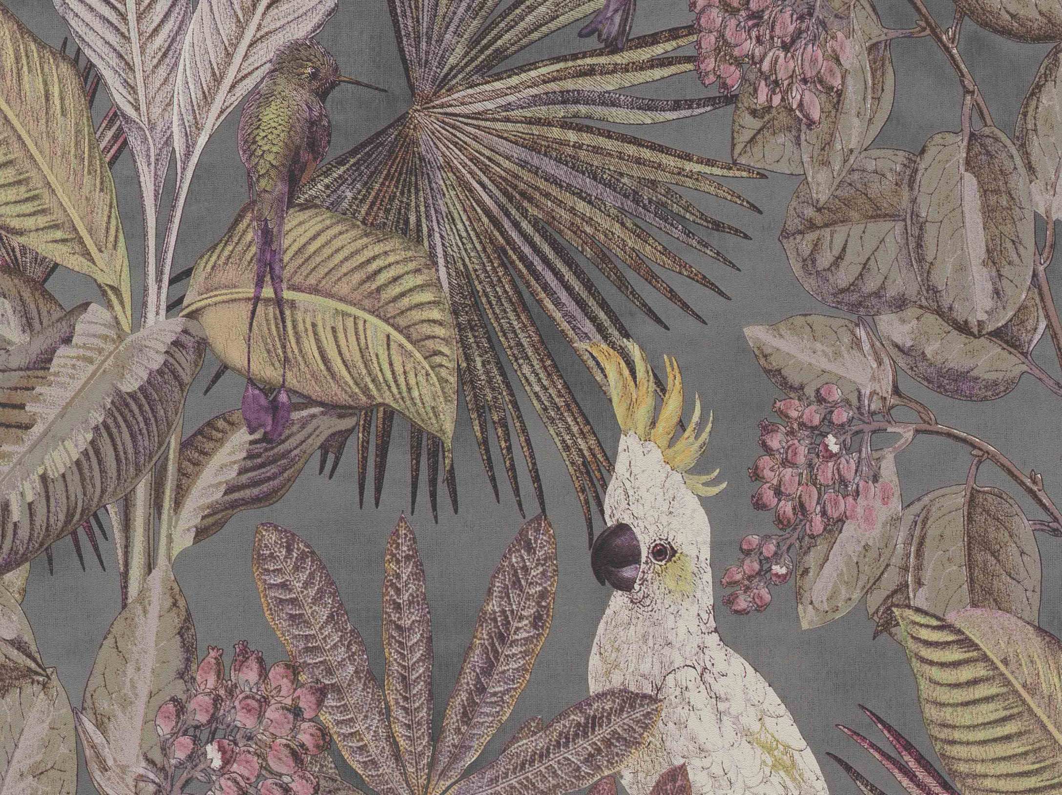 Cockatoo 220123