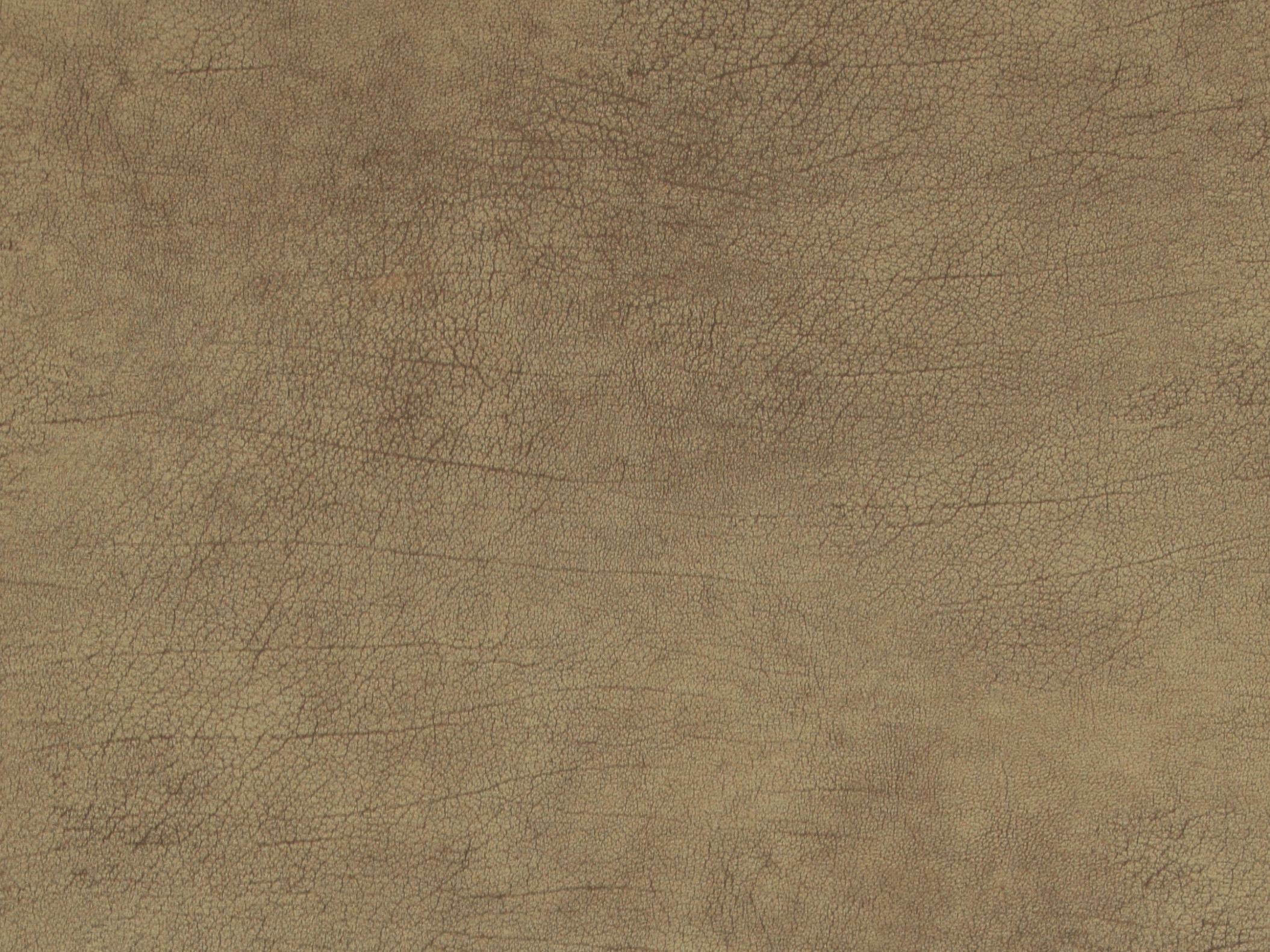 Curious 17924