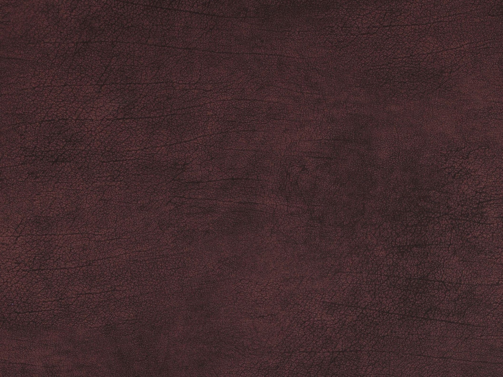 Curious 17929