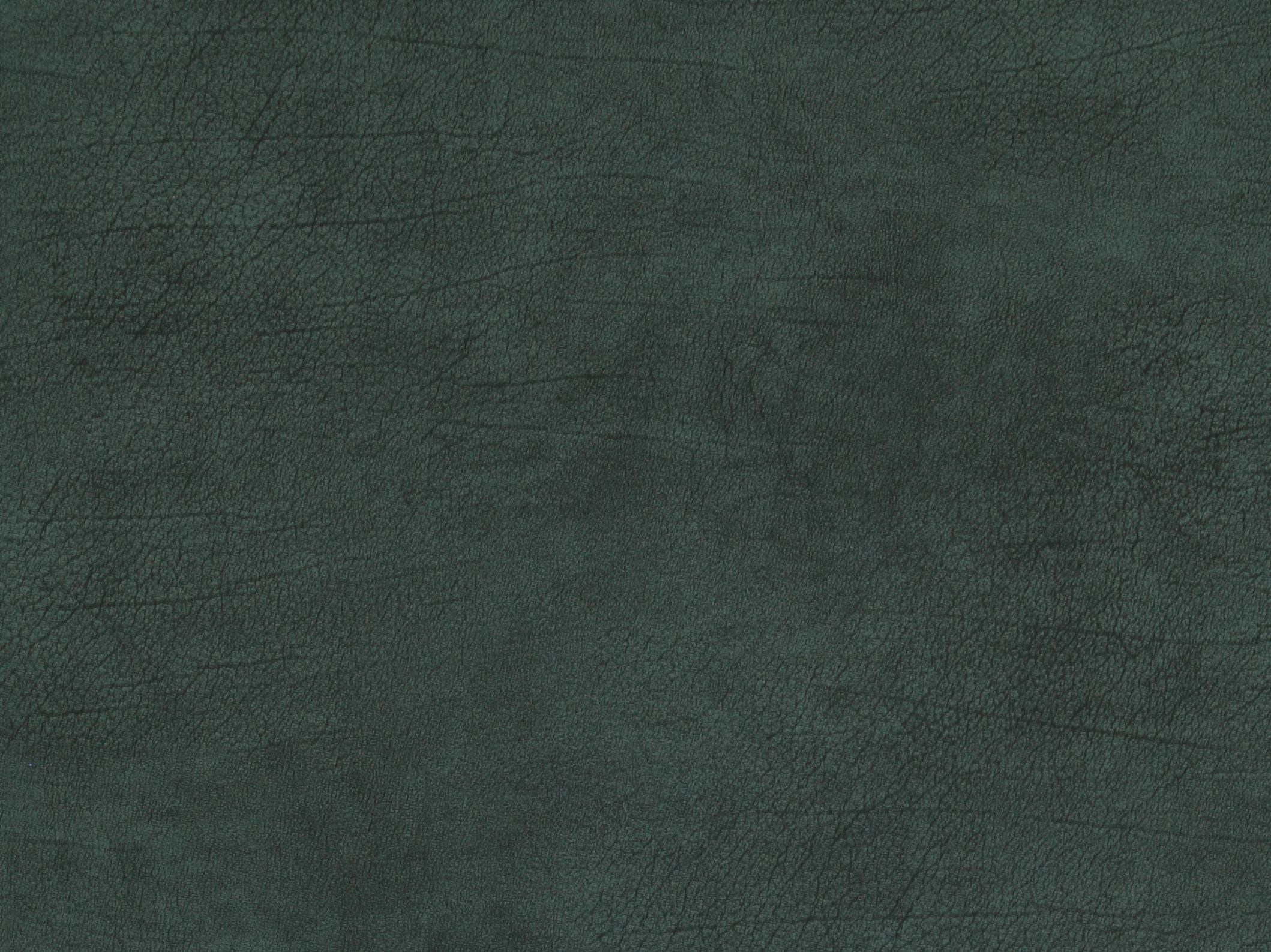 Curious 17935