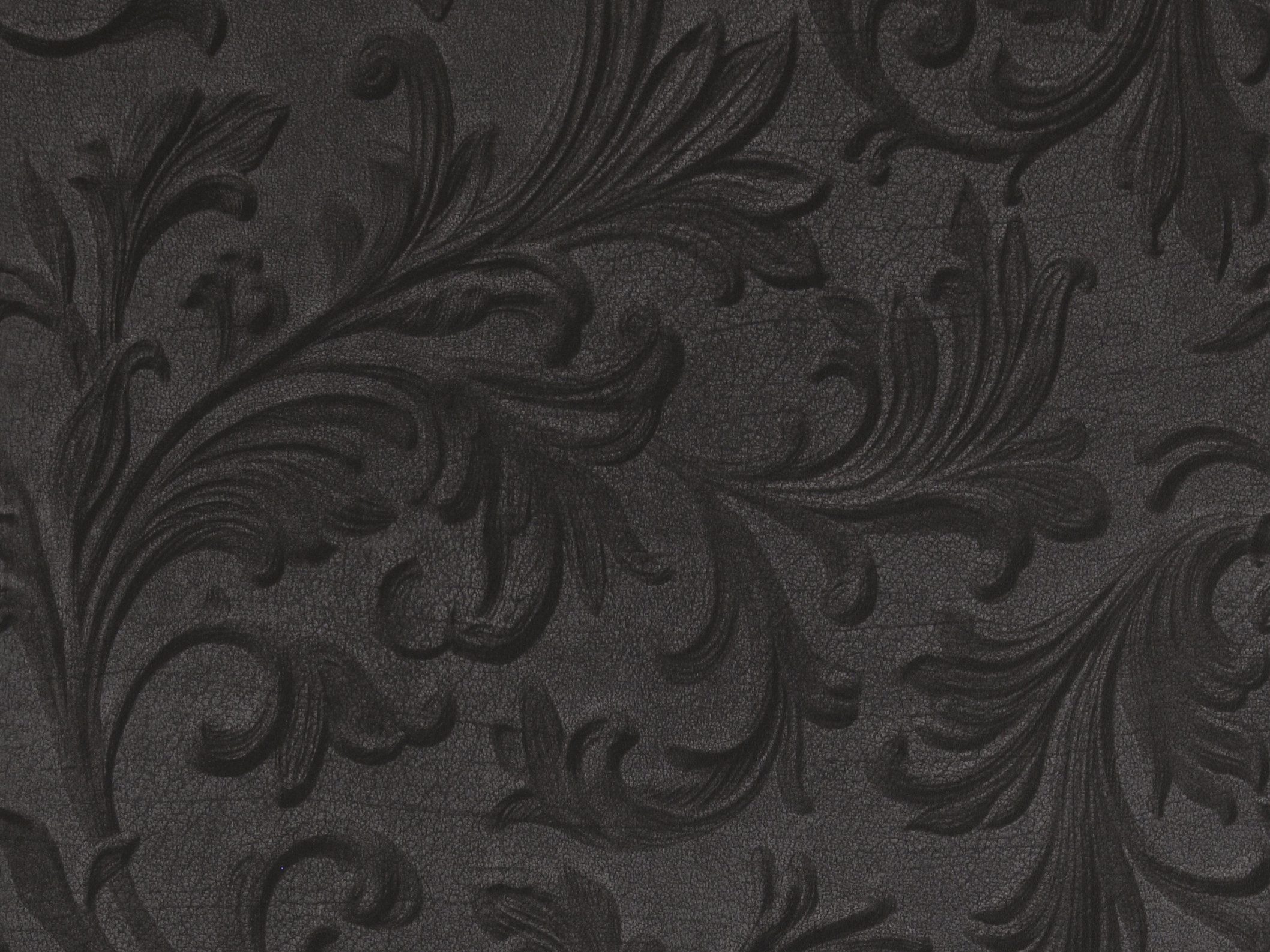 Curious 17942