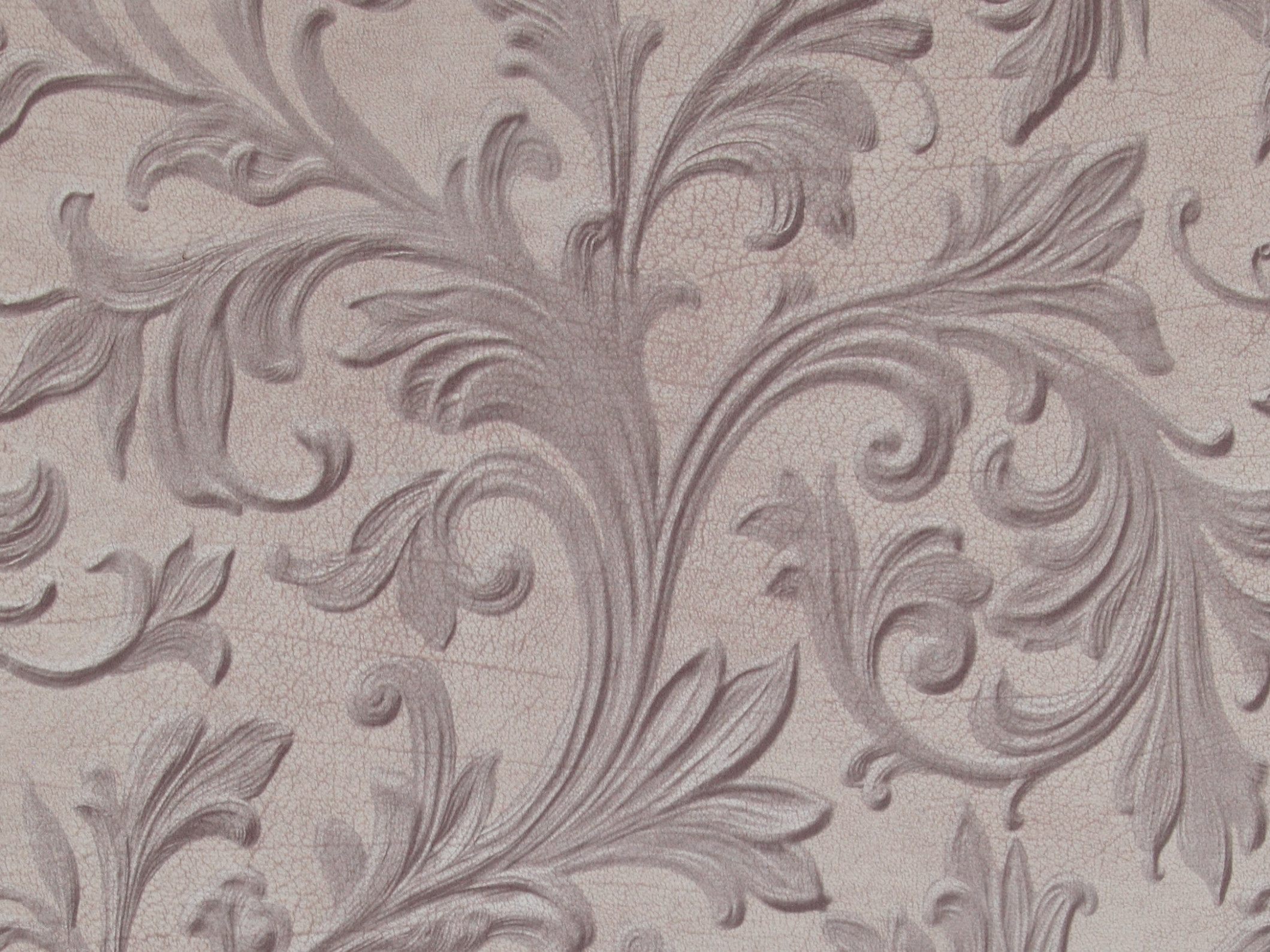 Curious 17943