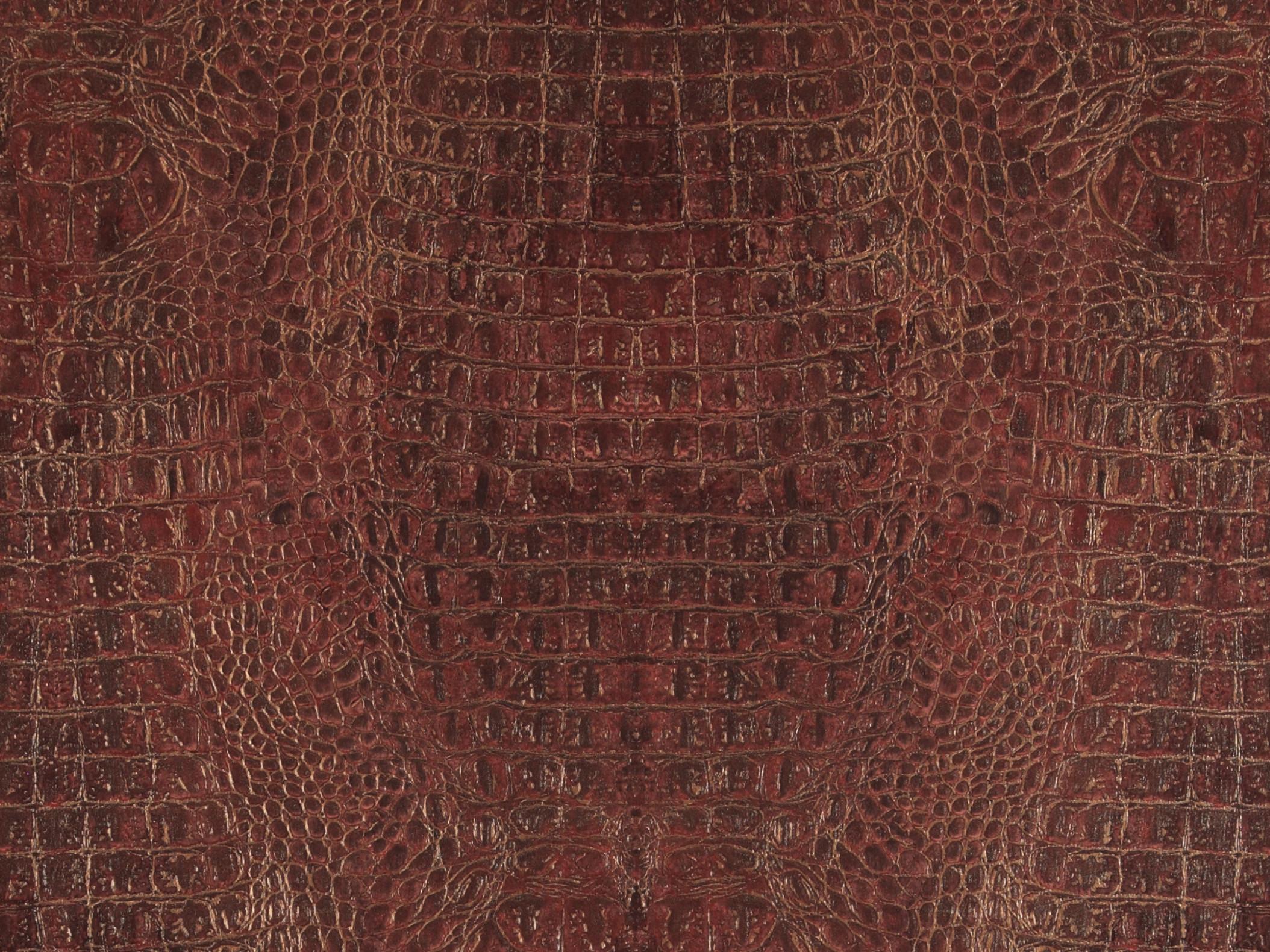 Curious 17957