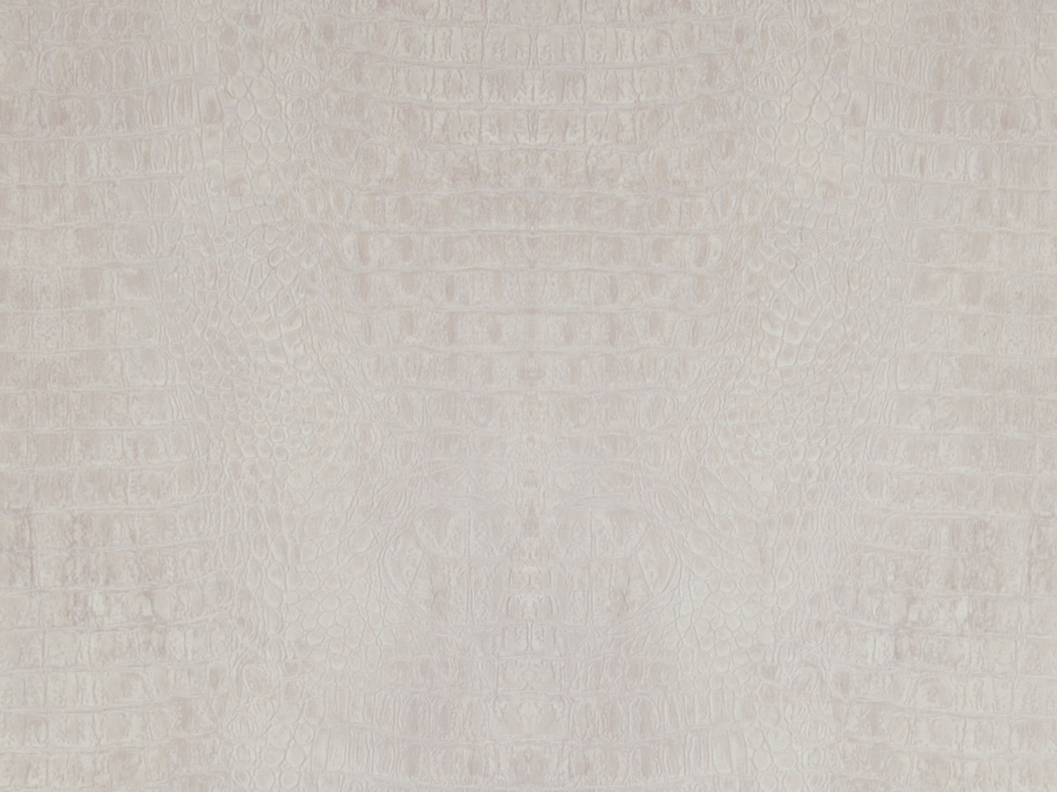 Curious 17958