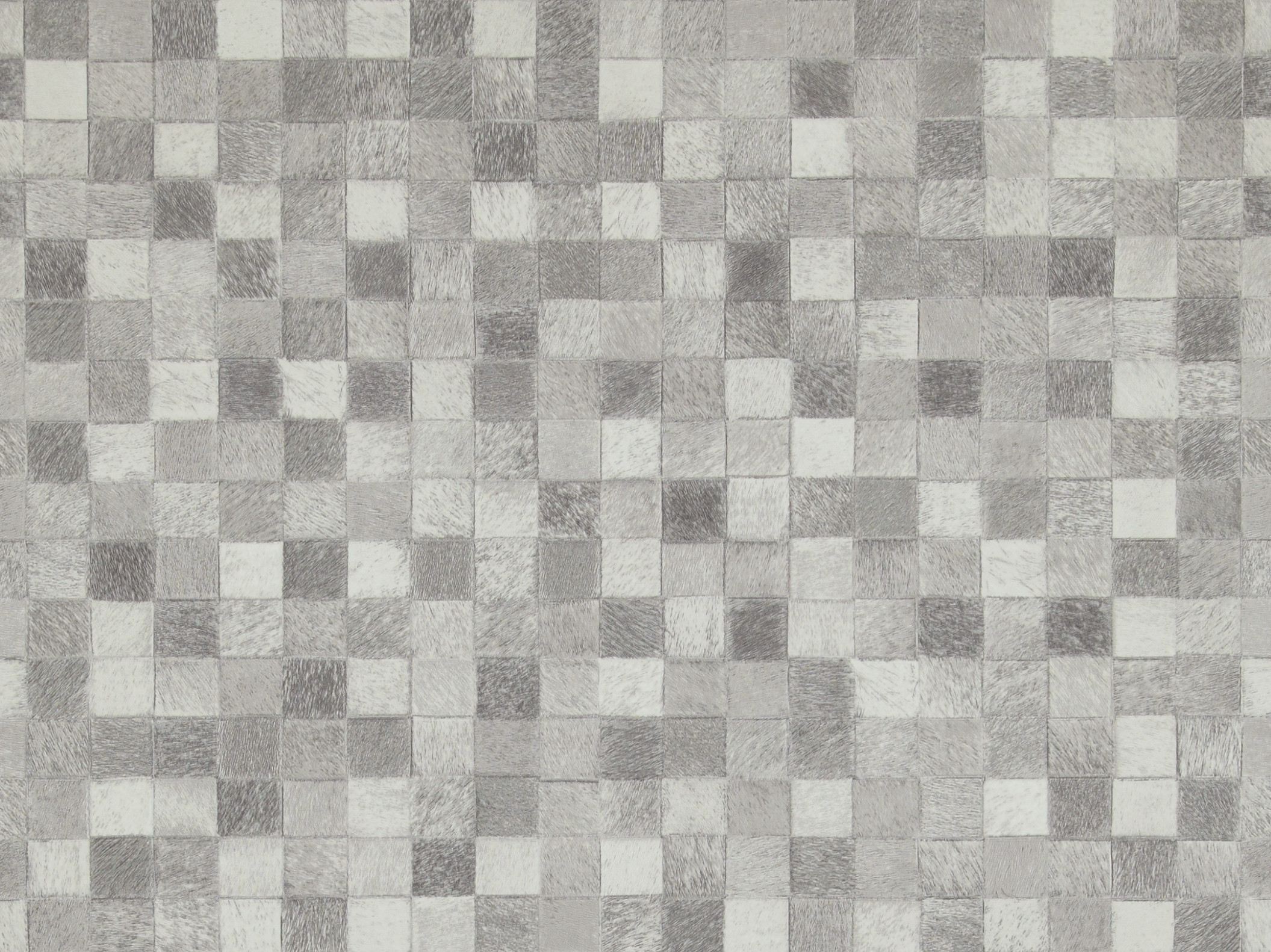 Curious 17972