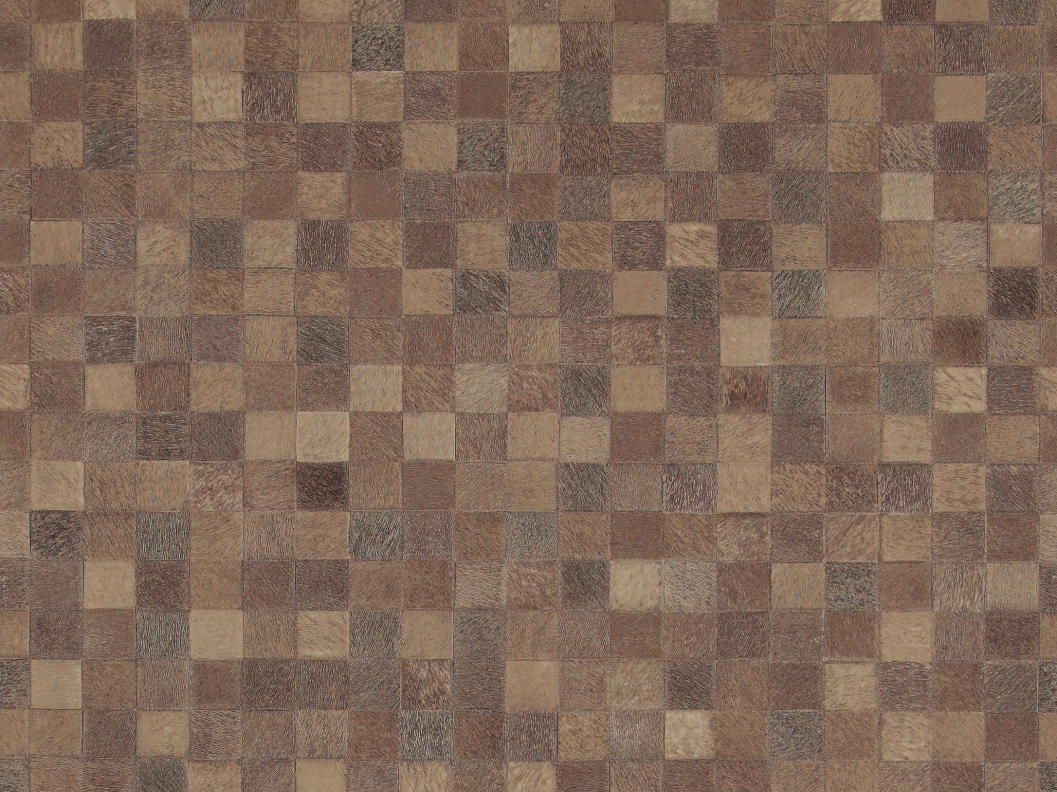 Curious 17975