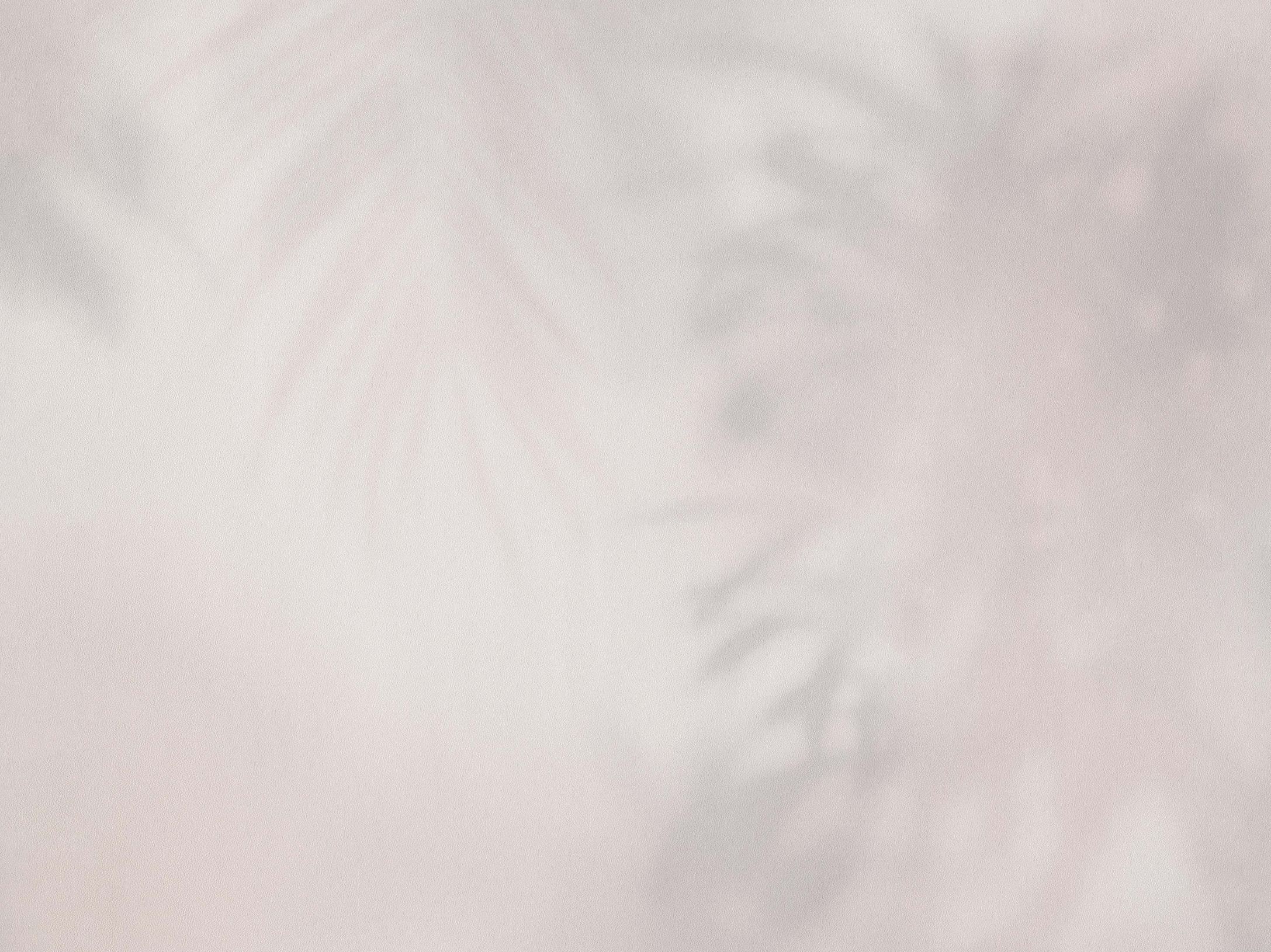 Dimensions 219550