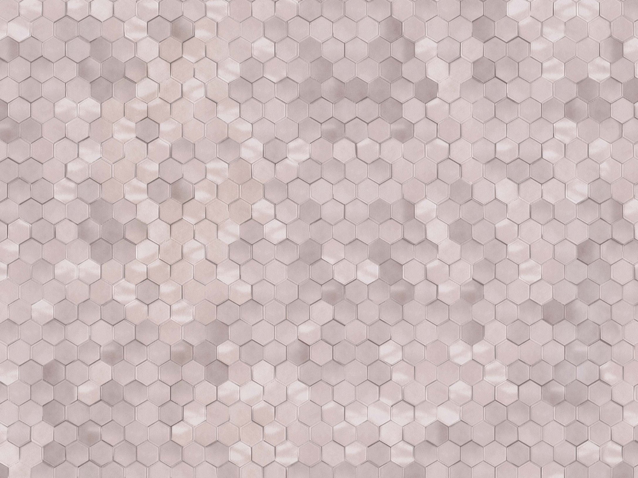 Dimensions 219584