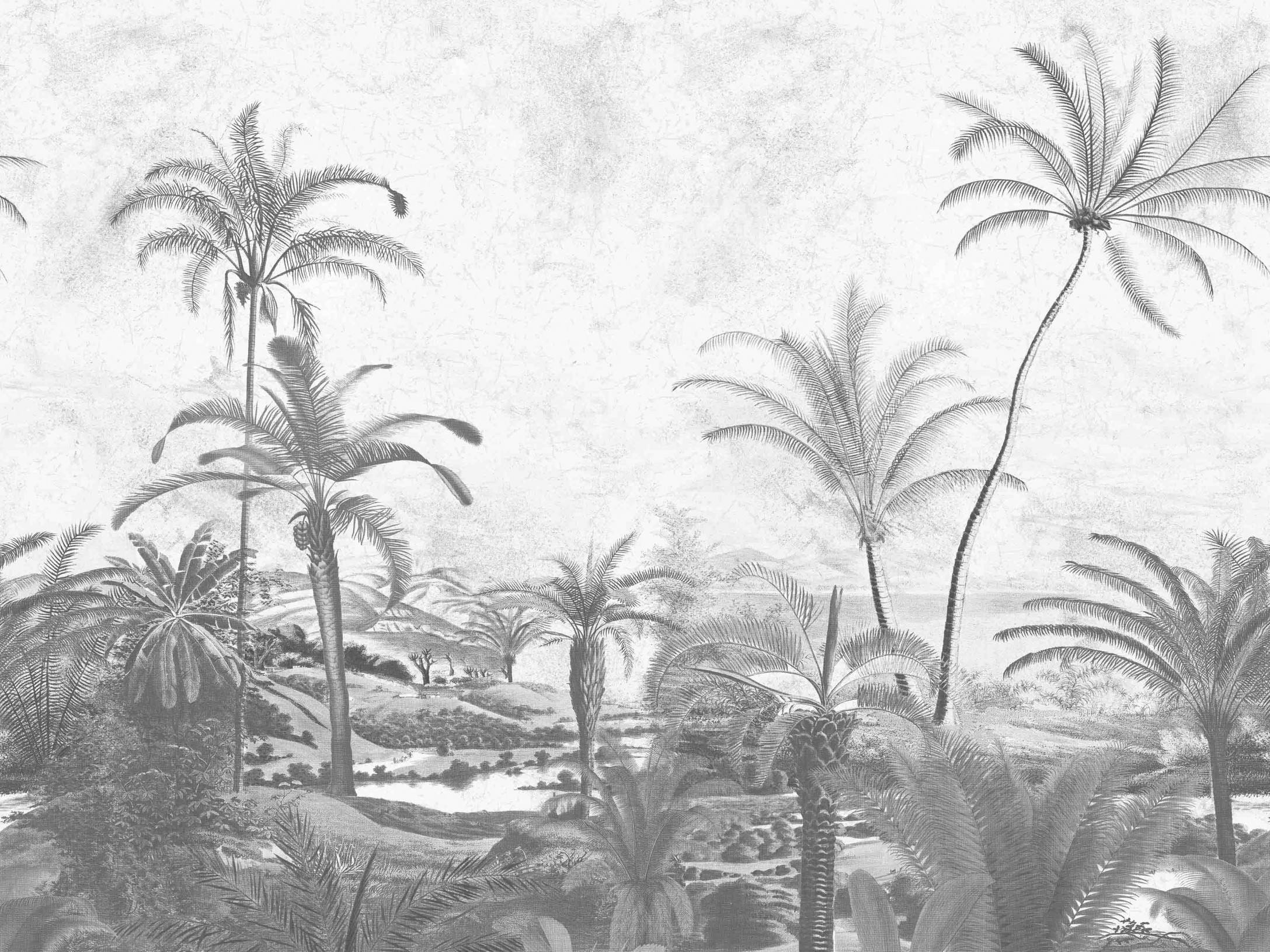 Fern 200353