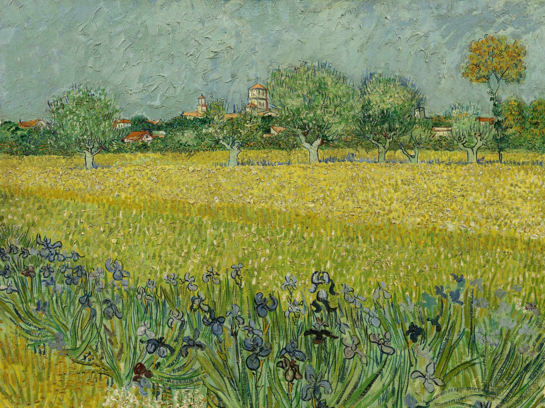 Field with Irises near Arles 30543
