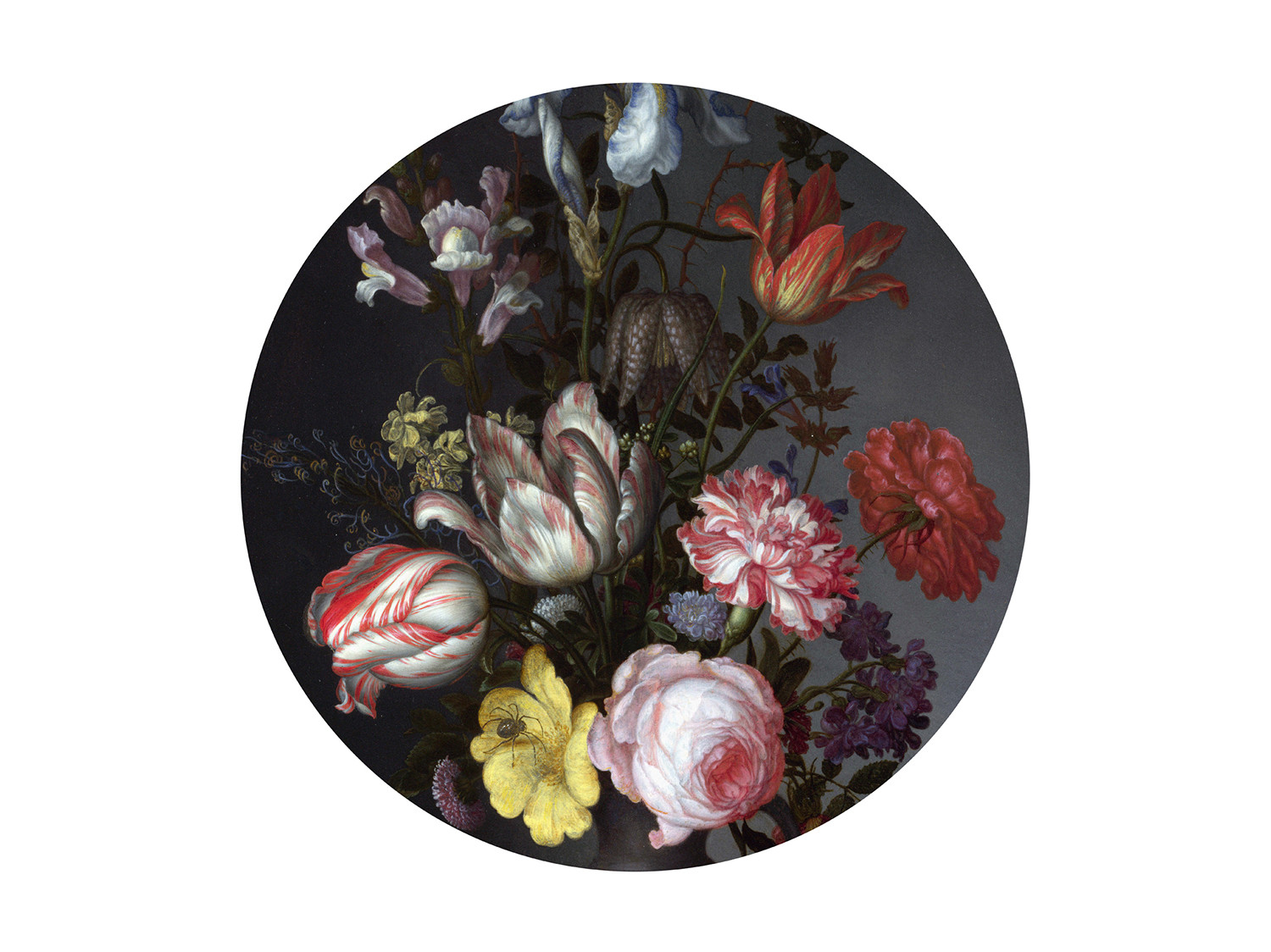 Flowers in a Vase with Shells and Insects 300337