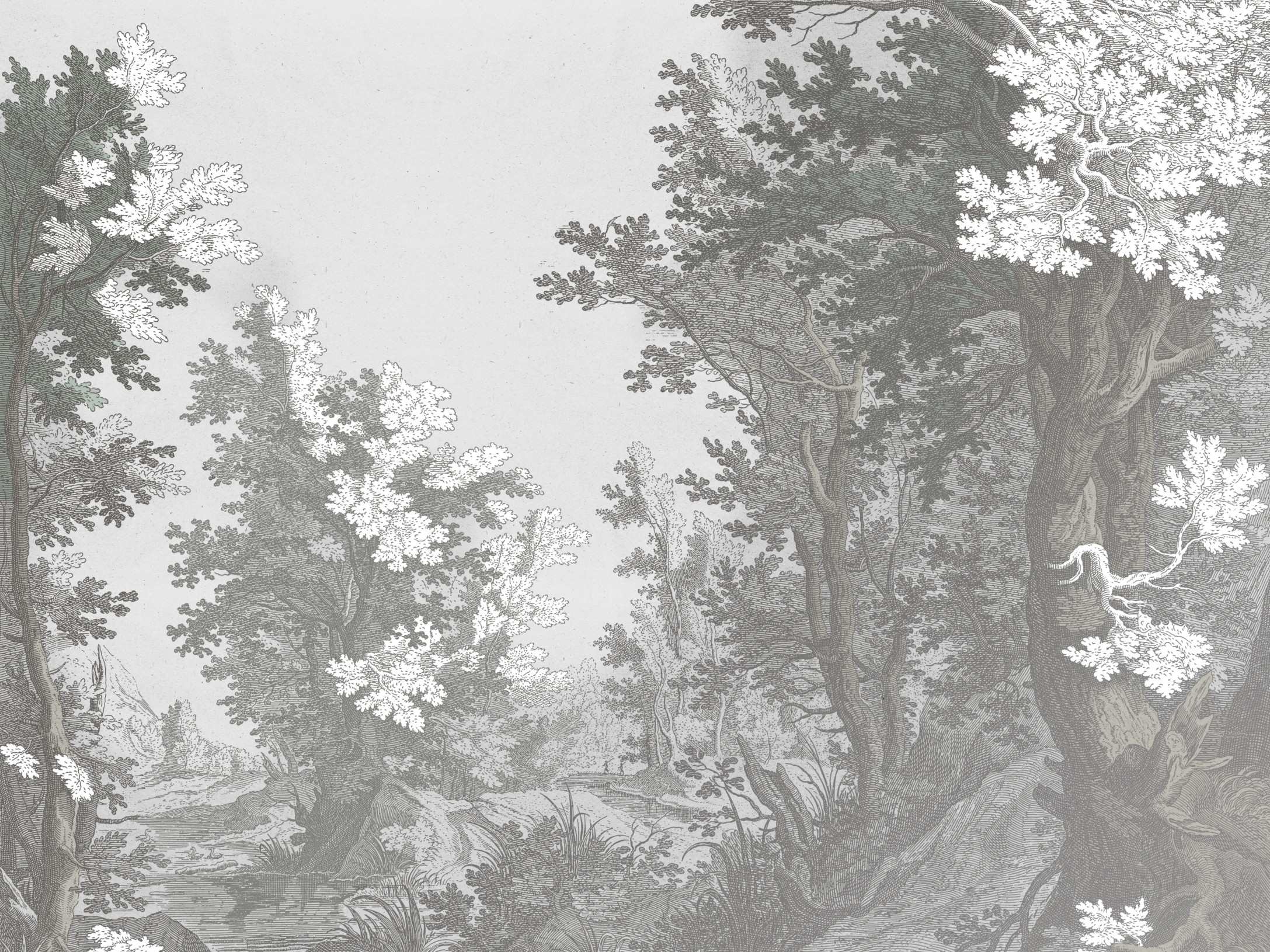 Forest Drawing 200422