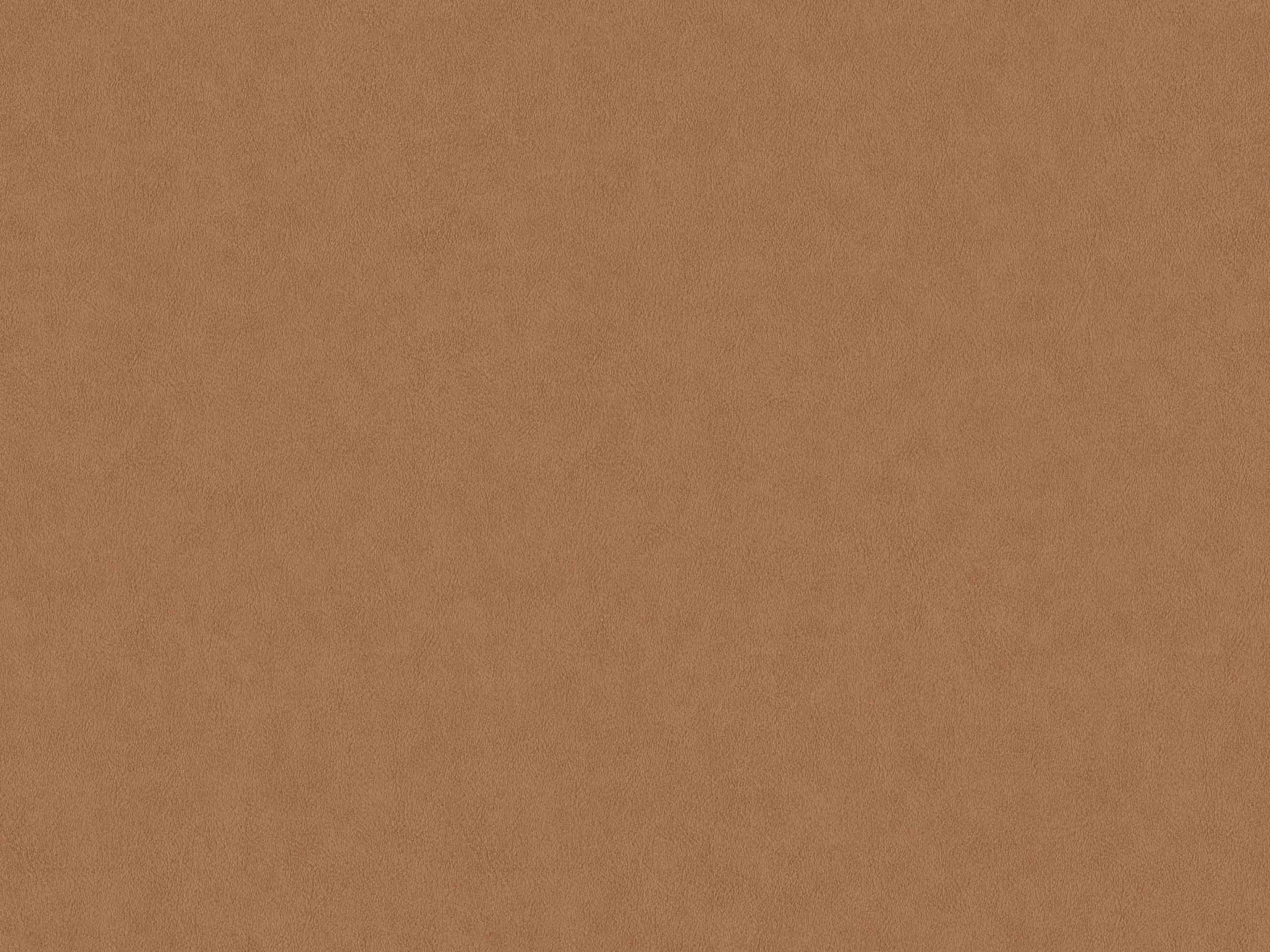 Leather 220505