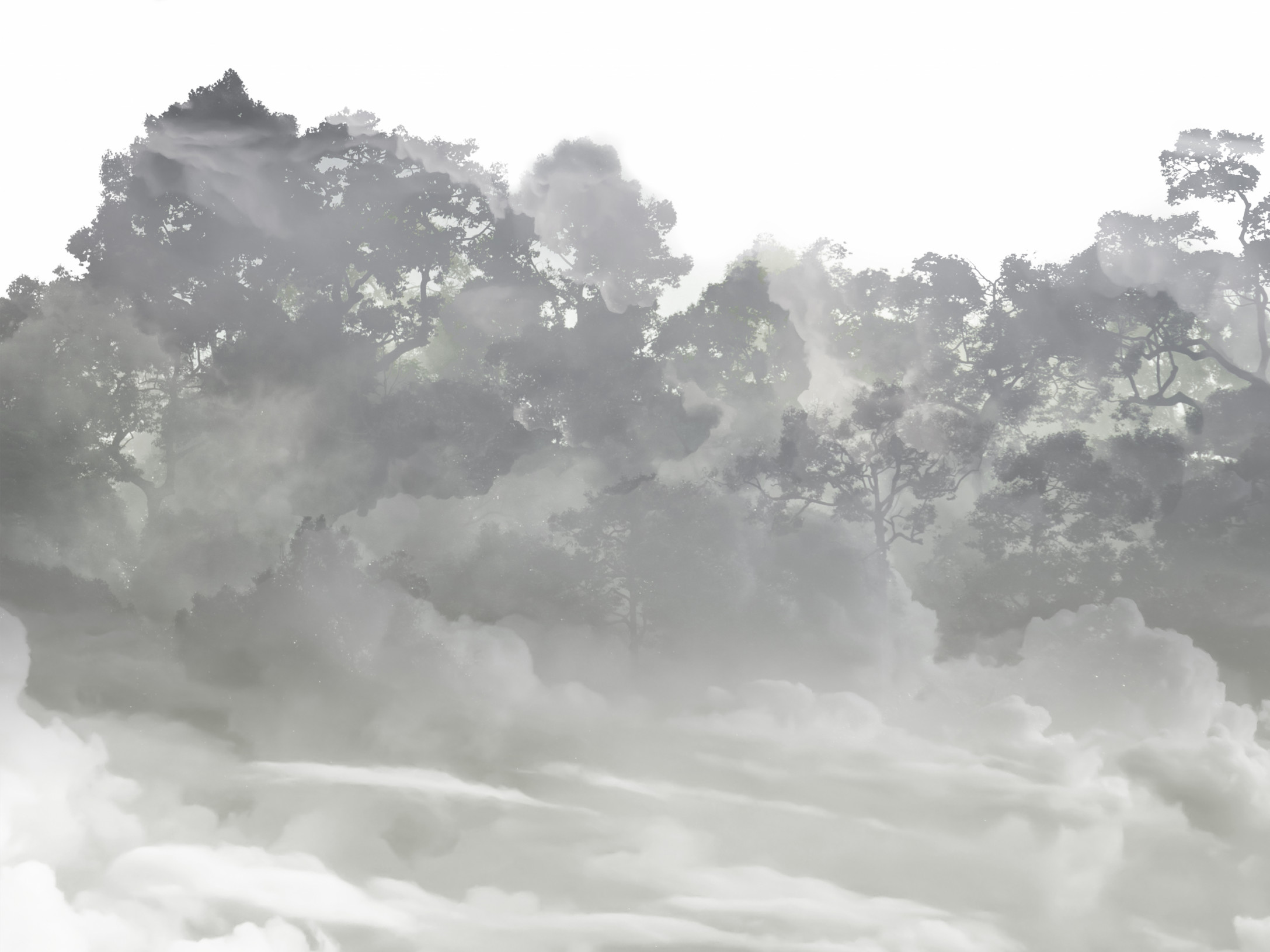 Misty Forest 200402