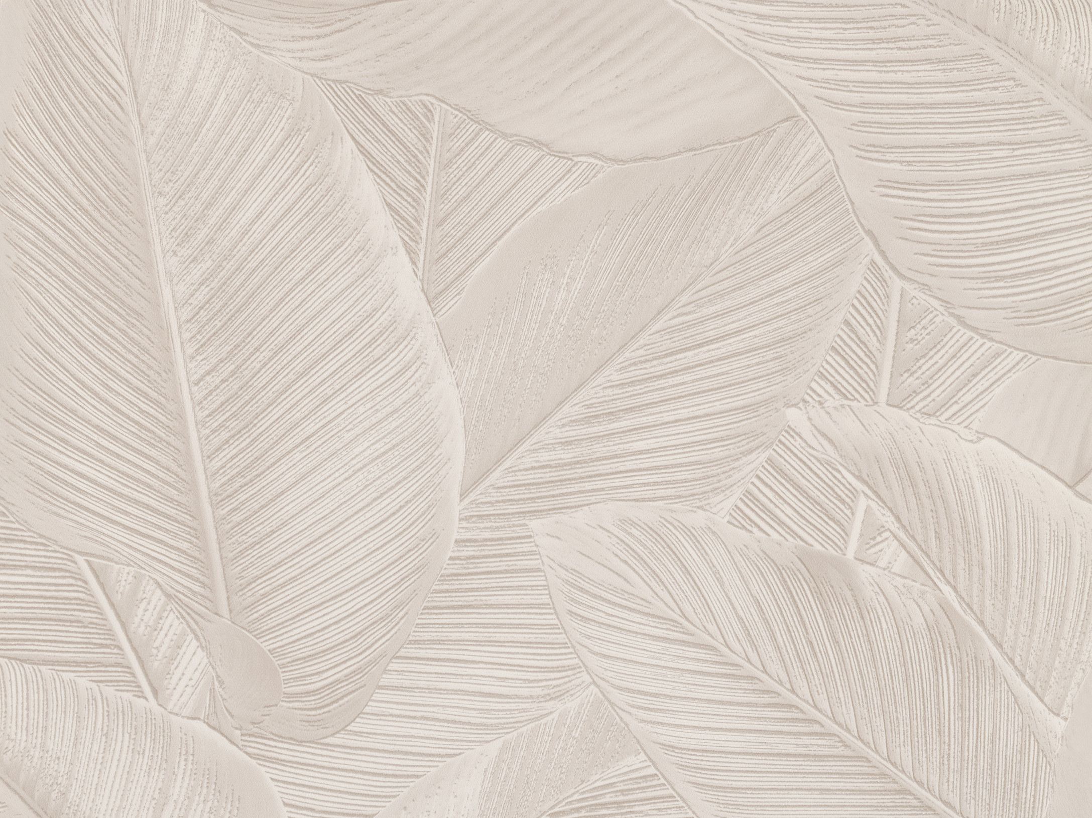 Palms 221171