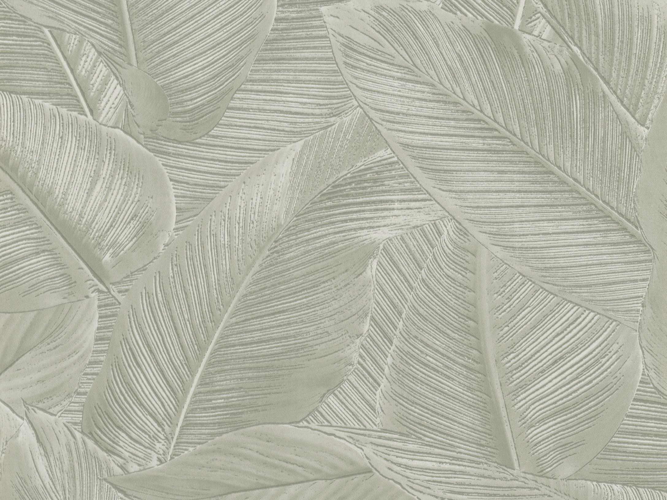 Palms 221172