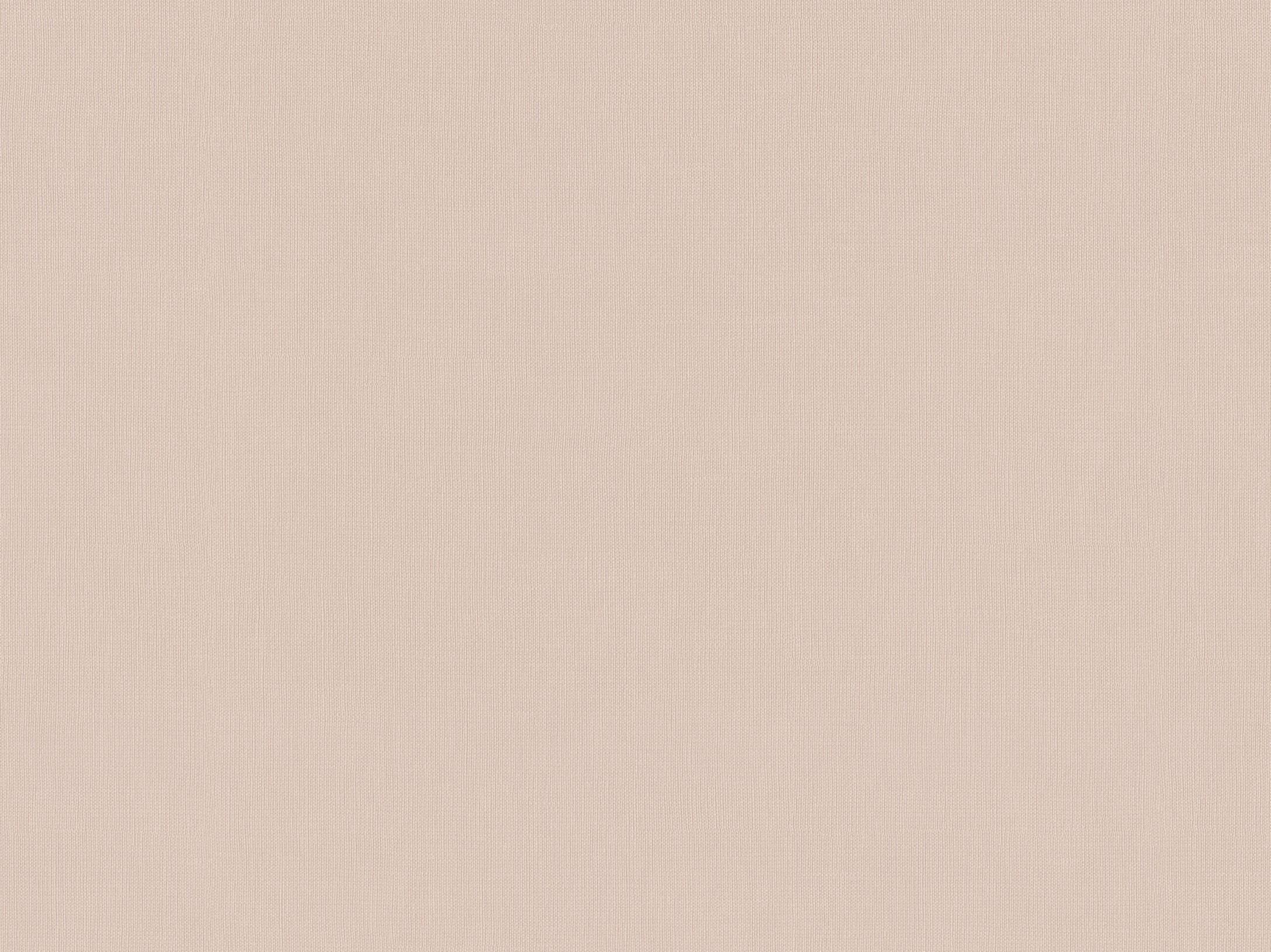 Plain 219213