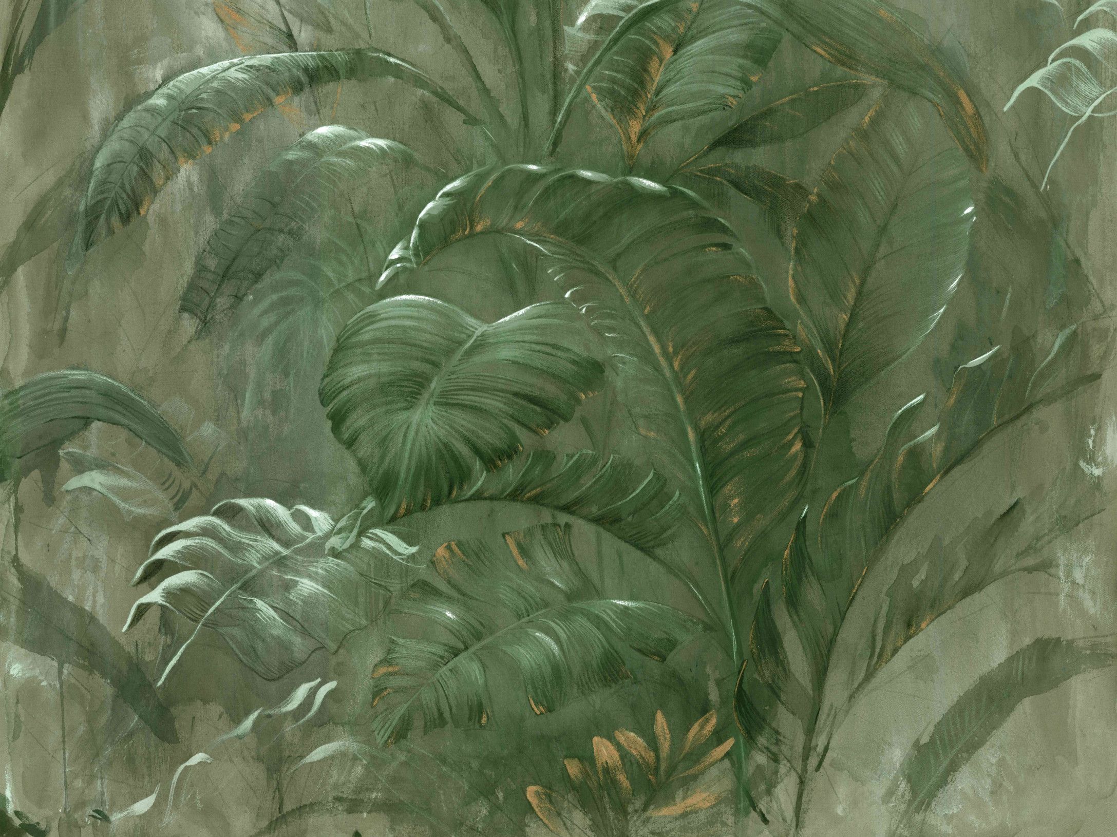 Rainforest 300411