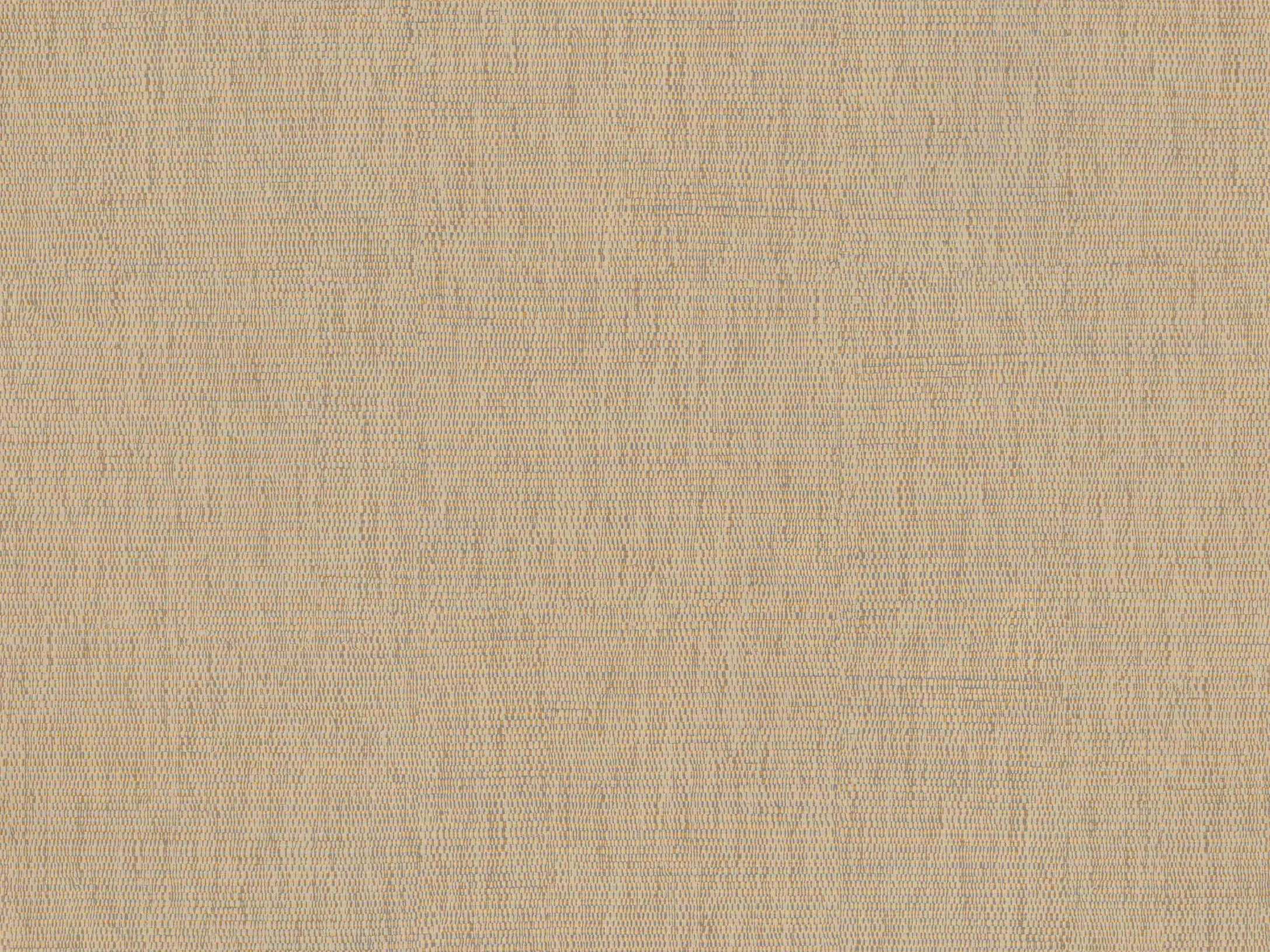 Seagrass 220645