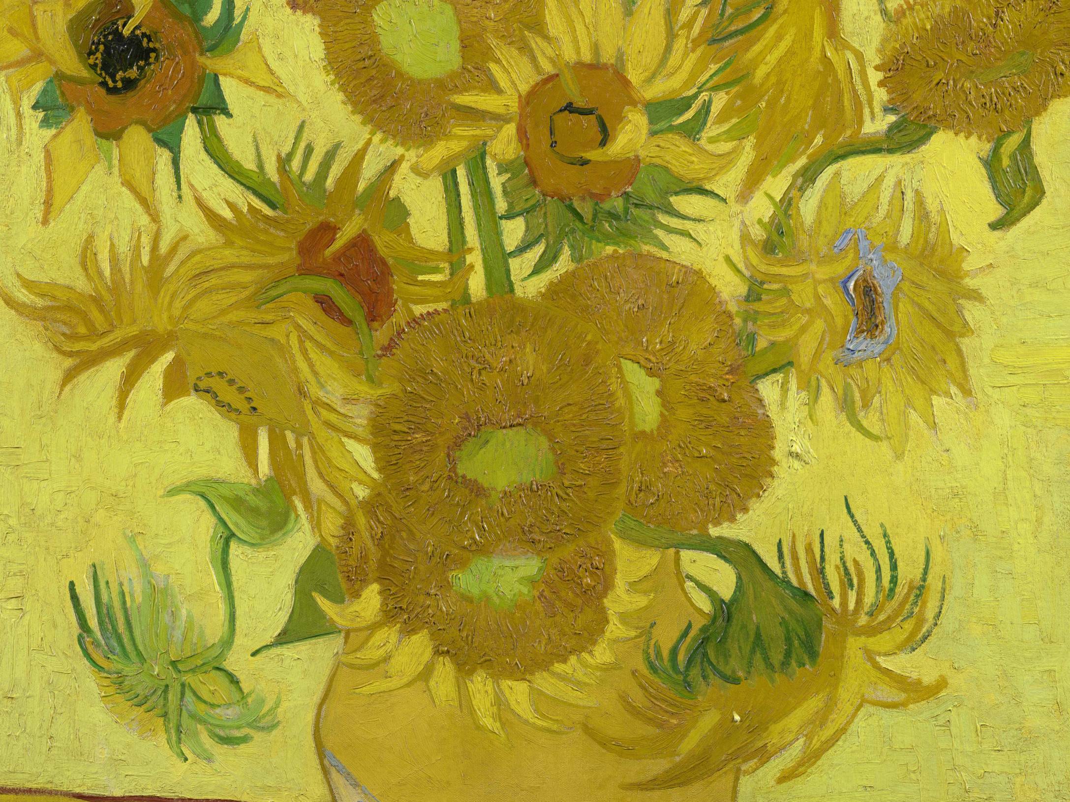 Sunflowers 30542