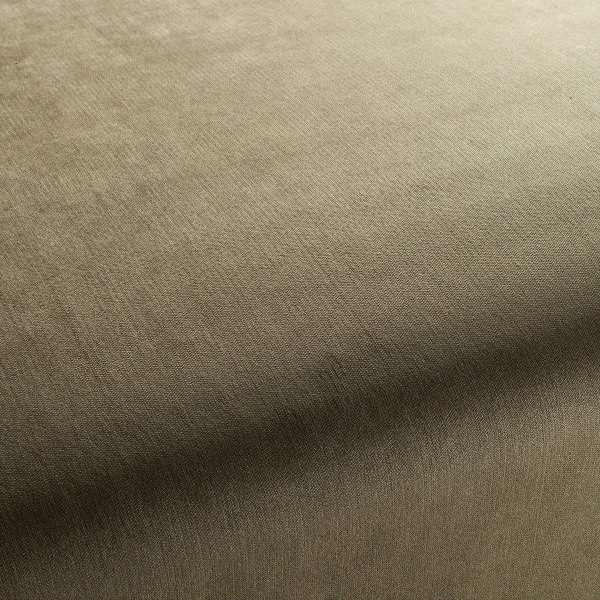 Bo CH2885-036