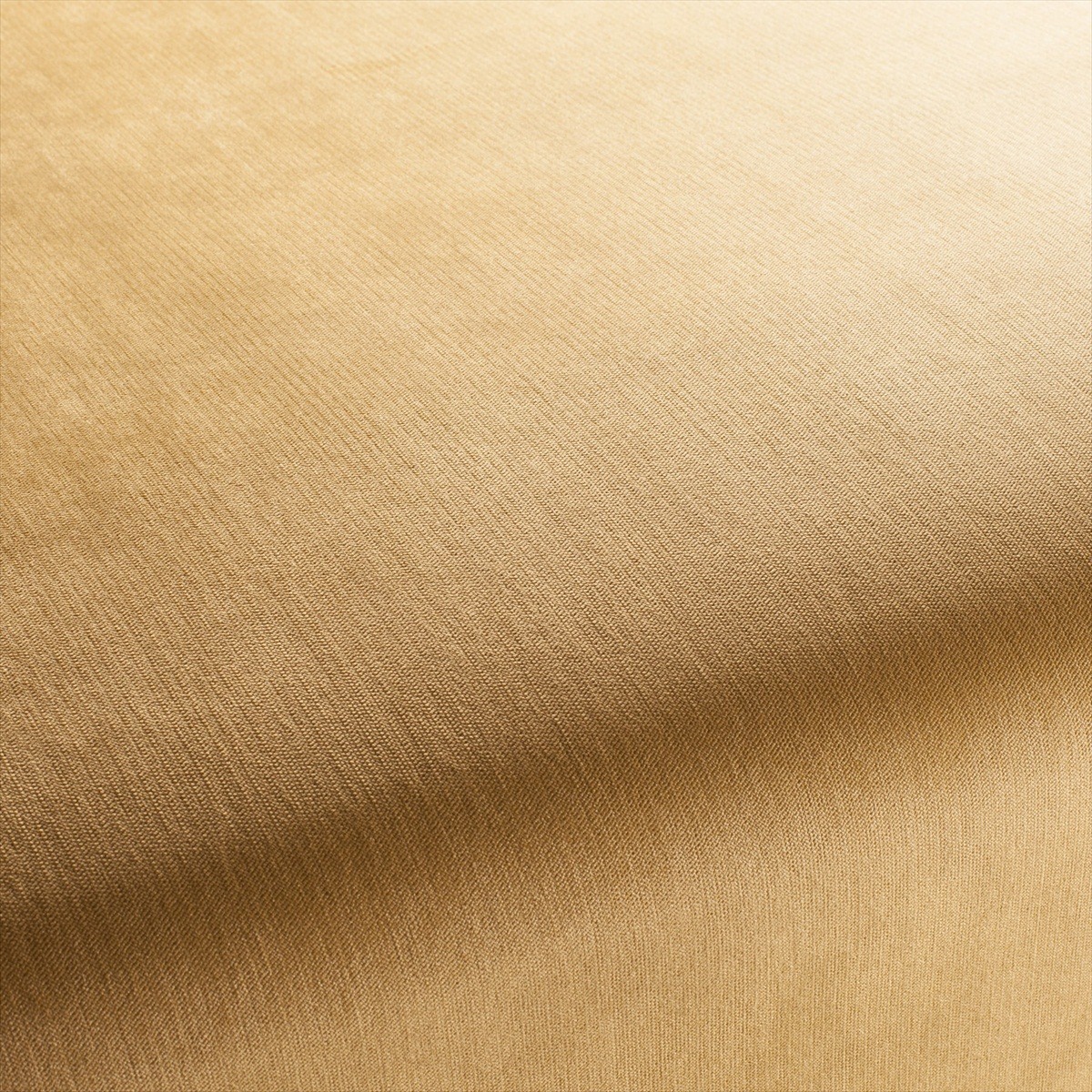 Bo CH2885-041