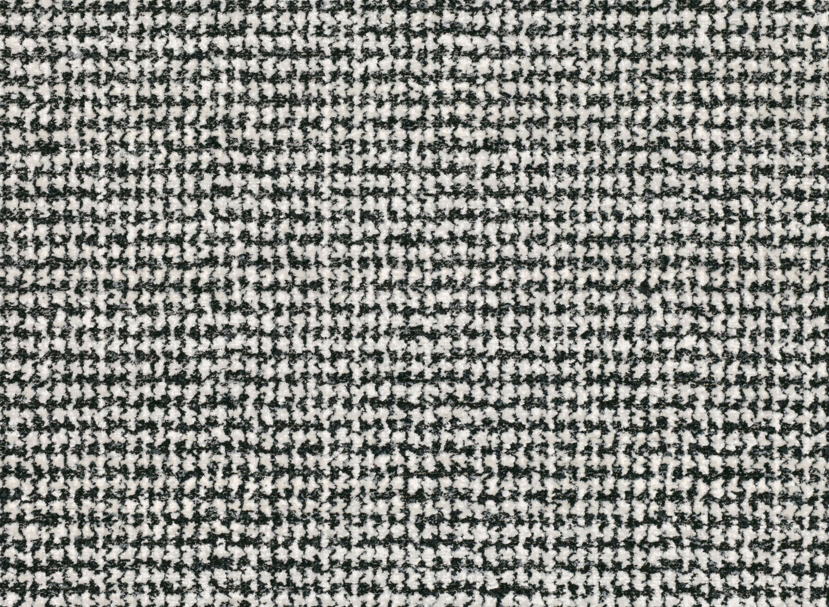 Bonheur Dalmatian Z473-03