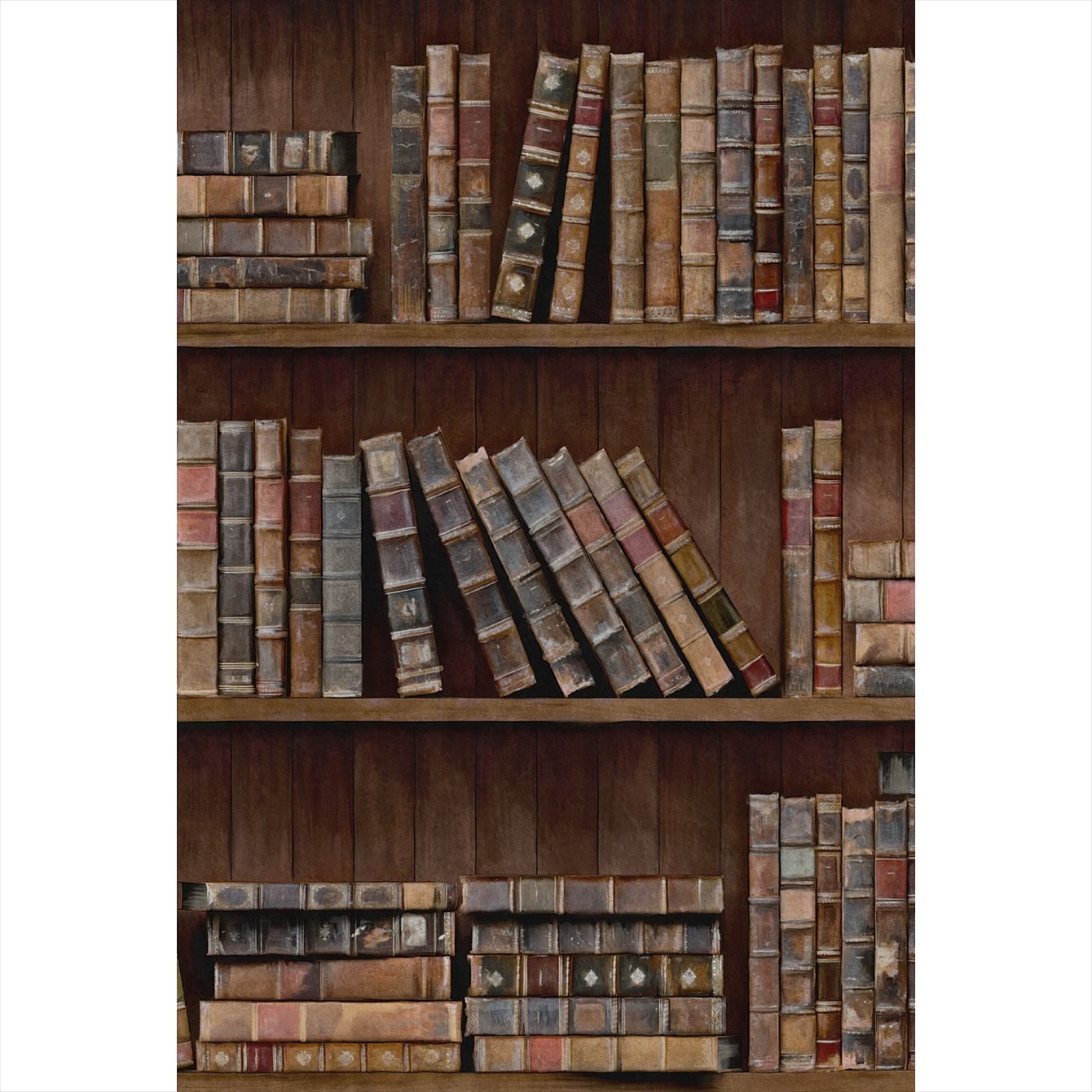 Book Shelves WP20112