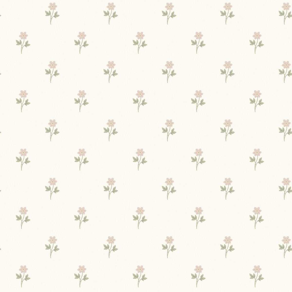 Anemone 6973