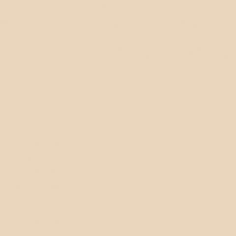 Apricot 7921