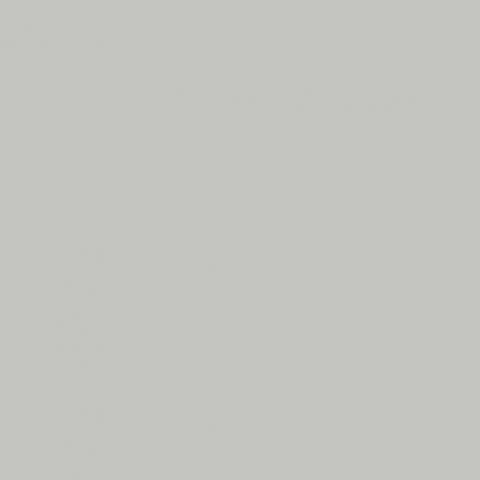 Ash 7953