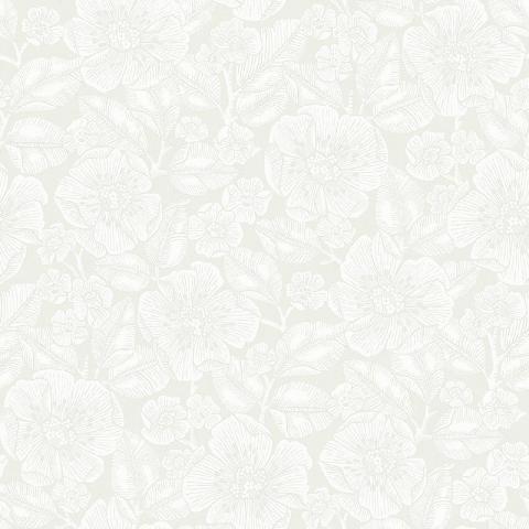 Borosan 21 8616