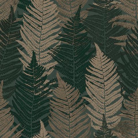 Fern Forest 1164